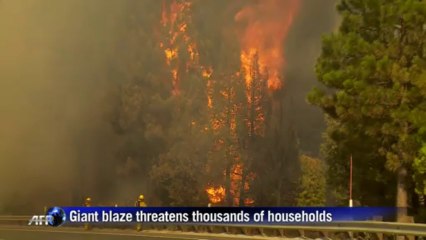 Firefighters battle California forest blaze