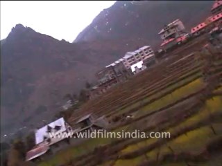 Pinjore to manali-mdv-167-10