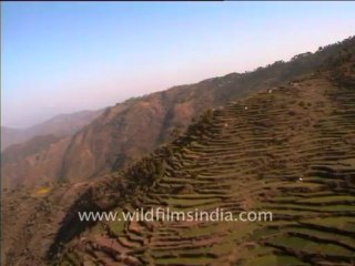 Pinjore to manali-mdv-167-7