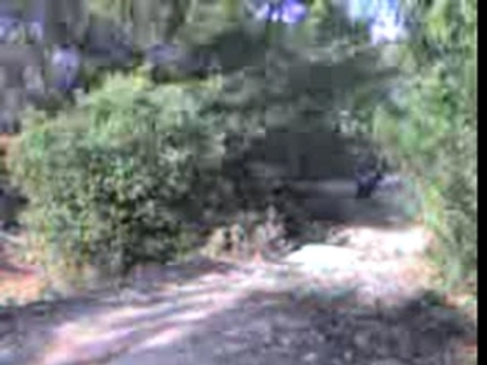 derbi senda jump
