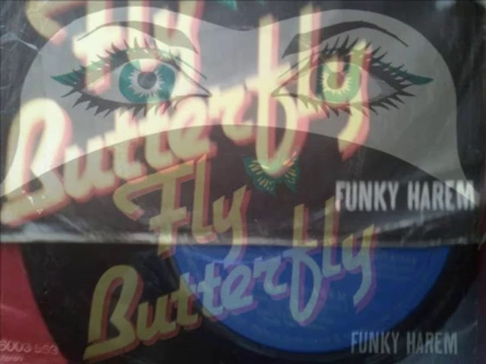 Kai Warner's Oriental Express  Funky Harem 1977 ( Baksana Talihe - Viens Dans Ma Vie Enstrumental )