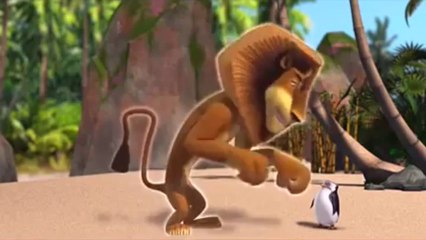 Pingwiny z Madagaskaru - Powrót Zemsty Doktora Bulgota cz.1 (2/3)