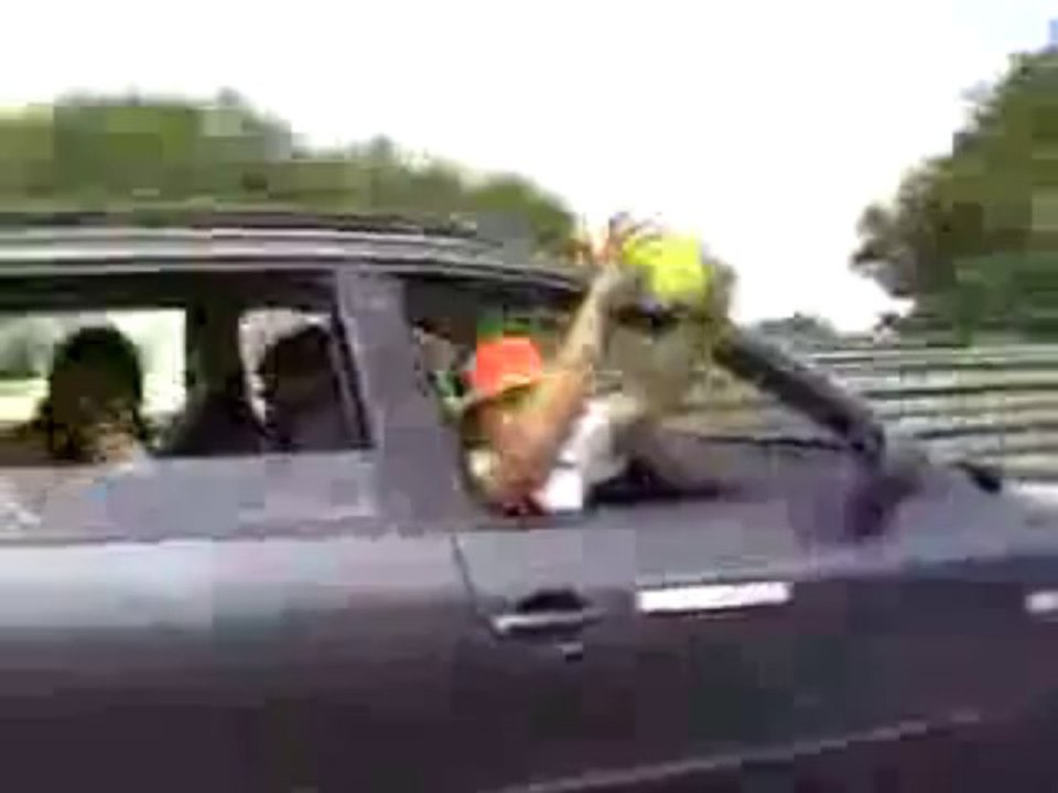 Idiot verliert WM tickets