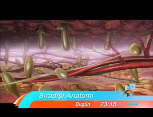 Sıradışı Anatomi sizlere sıradışı hastalığı olan insanların hikayelerini aktarıyor