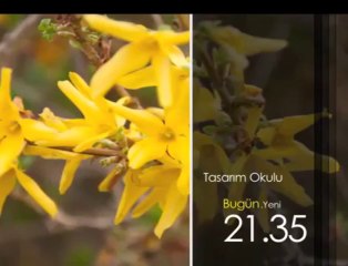 Tasarım Okulu, 26 Nisan Cuma 21.35'te TRT Okul'da