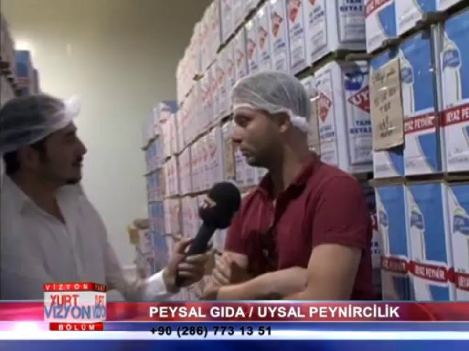 PEYSAL GIDA