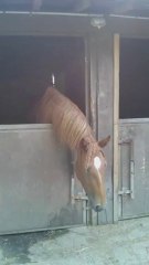 20130813_084042.anya