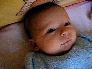 Tranquille la sieste