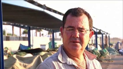 Gibraltar, el Peñón de la discordia