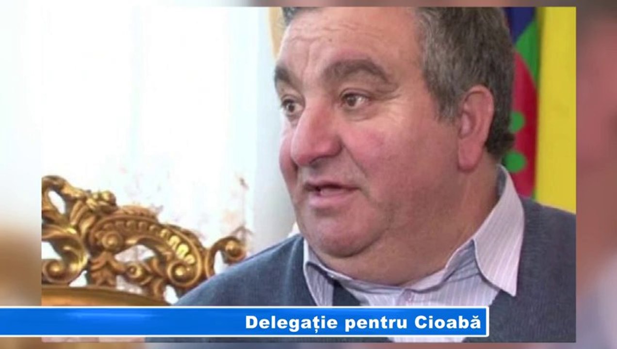 DELEGATIE PENTRU CIOABA