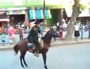 Very Funny Horse Riding Video