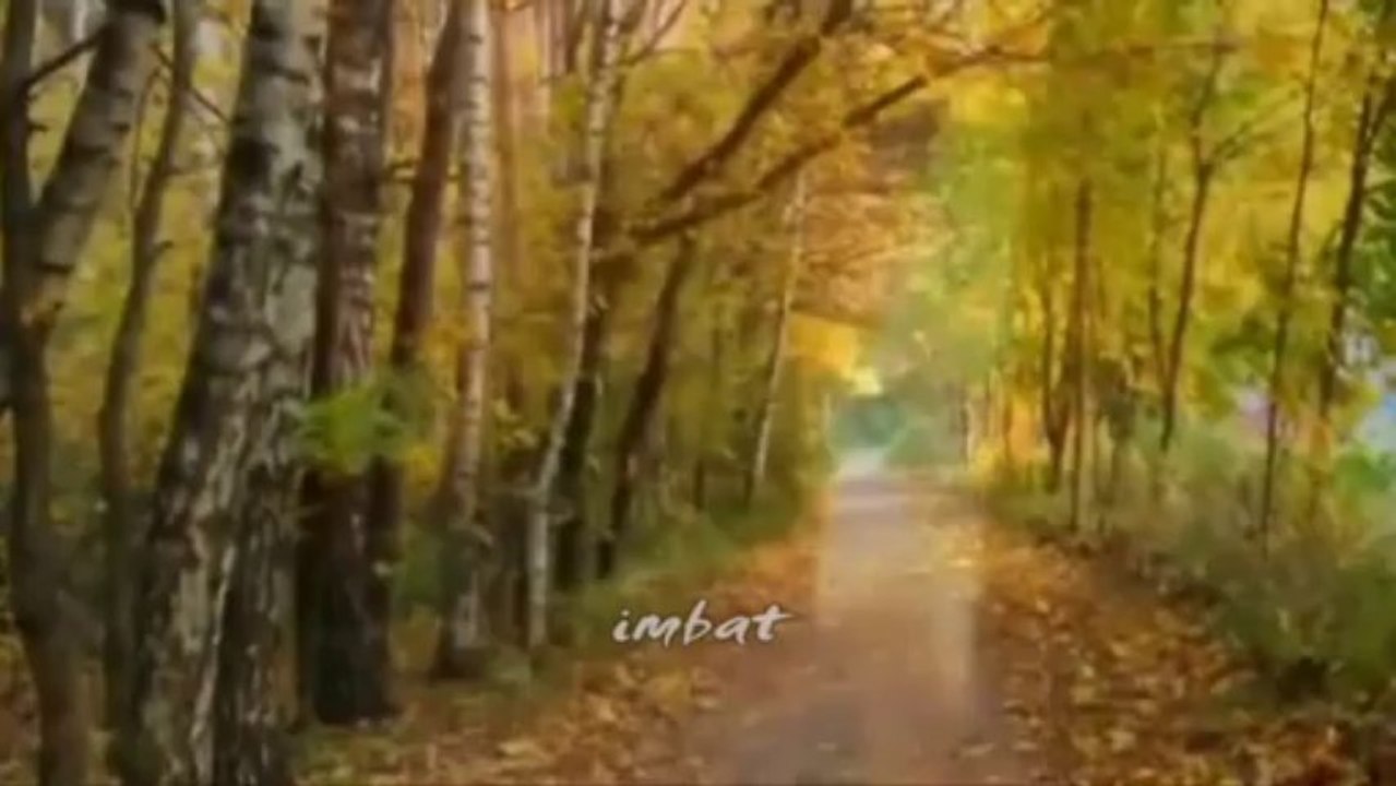 Aşkk .
