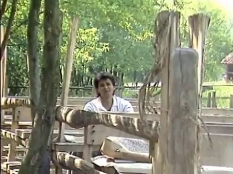 Sinan Sakic & Juzni Vetar - Cuvaj se, cuvaj (Video)