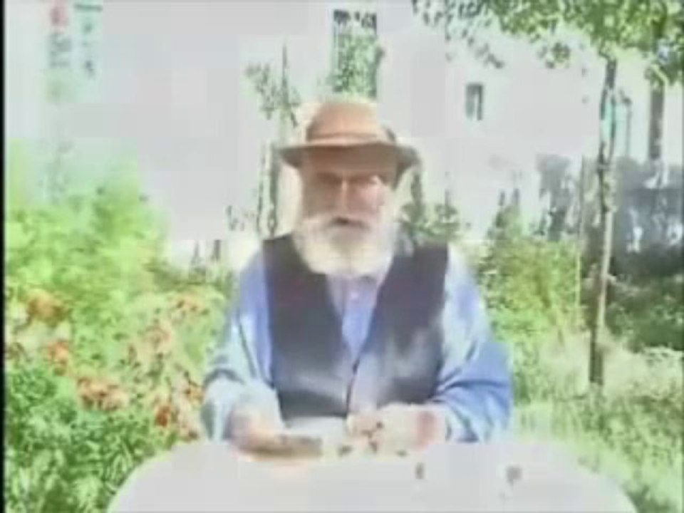 SÖZDE TÜNCELİ ALEVİLERİNİ SAVUNAN ALEVİ OLMAYANLAR NE YAPIYOR VE ALEVİLER NE YAPMALI