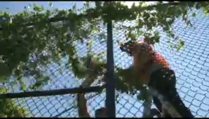 GM Student Corps Inspire Communities and Themselves