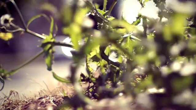 Canon 600d with 50mm 1.4 prime lens yashica