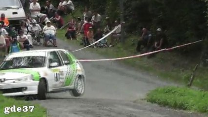 RALLYE DES 12 TRAVAUX D'HERCULE 2013