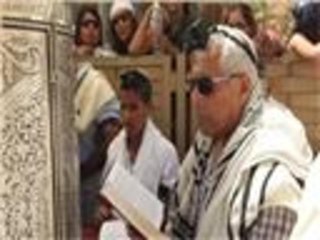 فلسطين تحت المجهر.. المستنقع