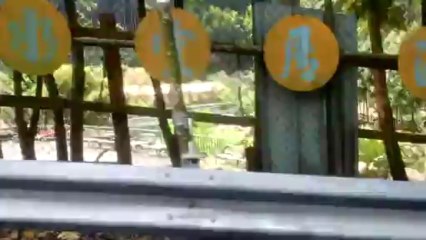 Scooter Crashes into Open Sewer