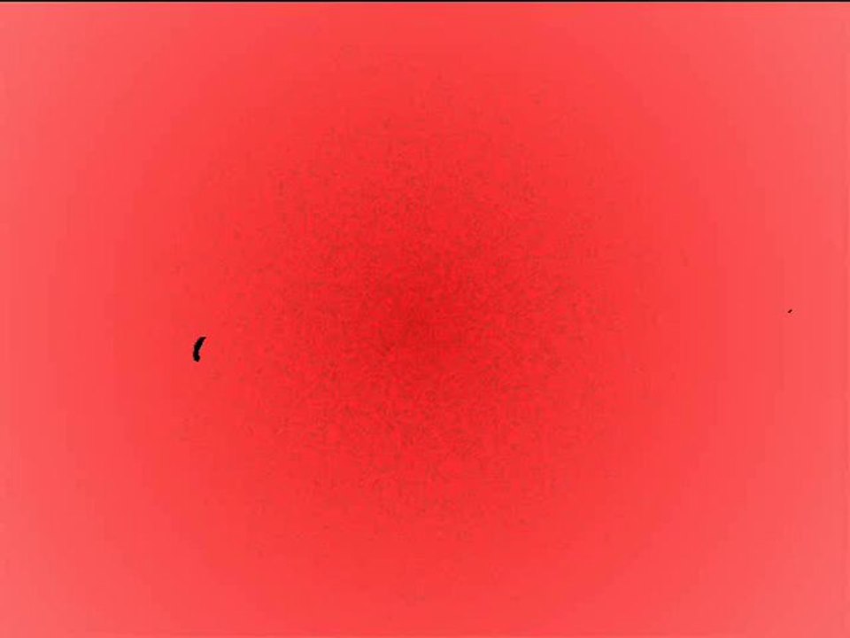 Bella Vista & Matthias Simon beim Schlagerolymp 2013 in Berlin