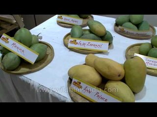 Mango Mania at Dilli Haat