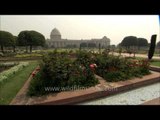 Mughal Gardens: The Charm of Rashtrapati Bhavan