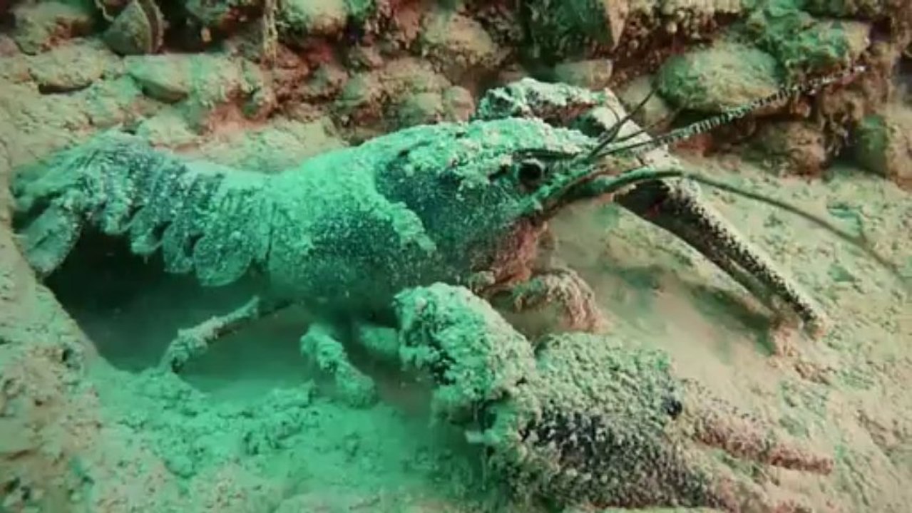 Tauchen Aquapark 2013