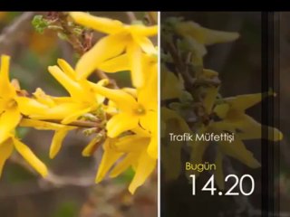 Trafik Müfettişi, 27 Nisan Cumartesi 14.20'de TRT Okul'da