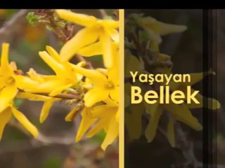 Yaşayan Bellek, 19 Mayıs Pazar 22.30'da TRT Okul'da