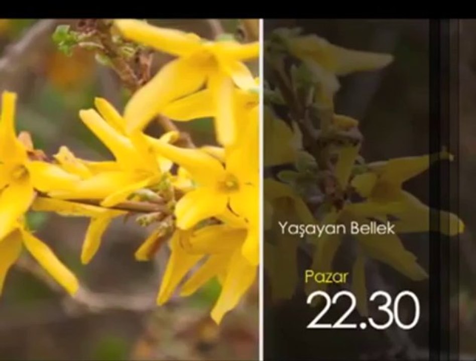 Yaşayan Bellek, 21 Nisan Pazar 22.30'da TRT Okul'da