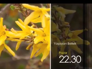 Yaşayan Bellek, 21 Nisan Pazar 22.30'da TRT Okul'da