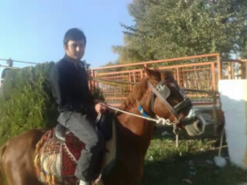 Ali Ka -  Resimleri