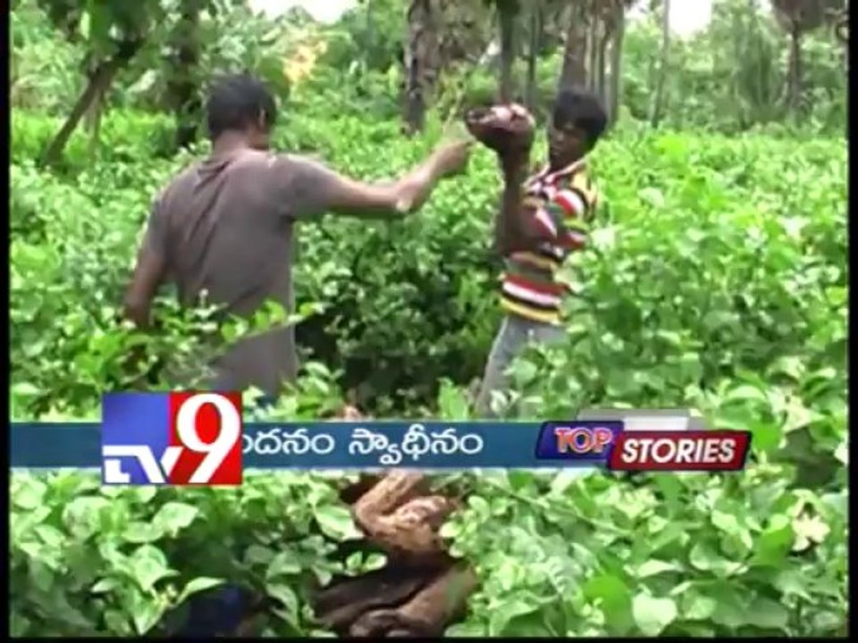 Top Stories - 20-08-2013
