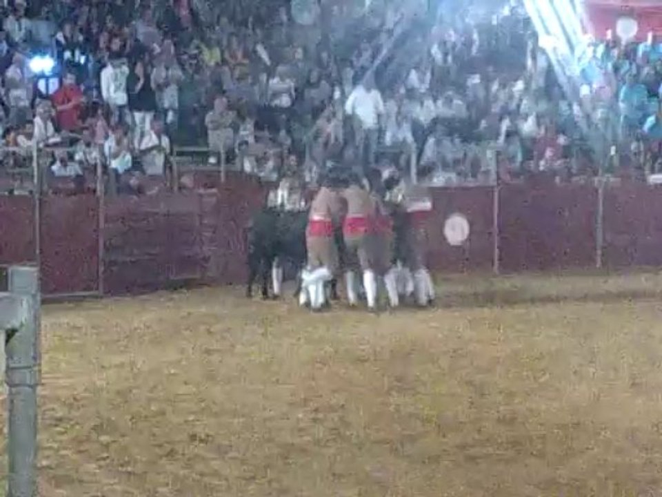 IGOR RABITA DOS AMADORES DA CHAMUSCA PEGA TOIRO DE CANAS VIGOUROUX EM SAMORA CORREIA