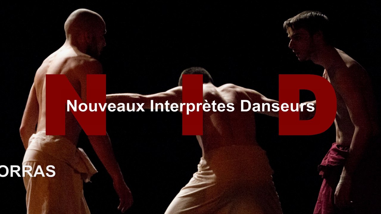 N.I.D - Saison 2013-2014