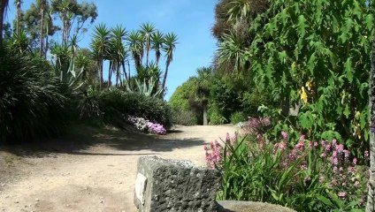 Finistère. Un p'tit coin de paradis « made in Roscoff »