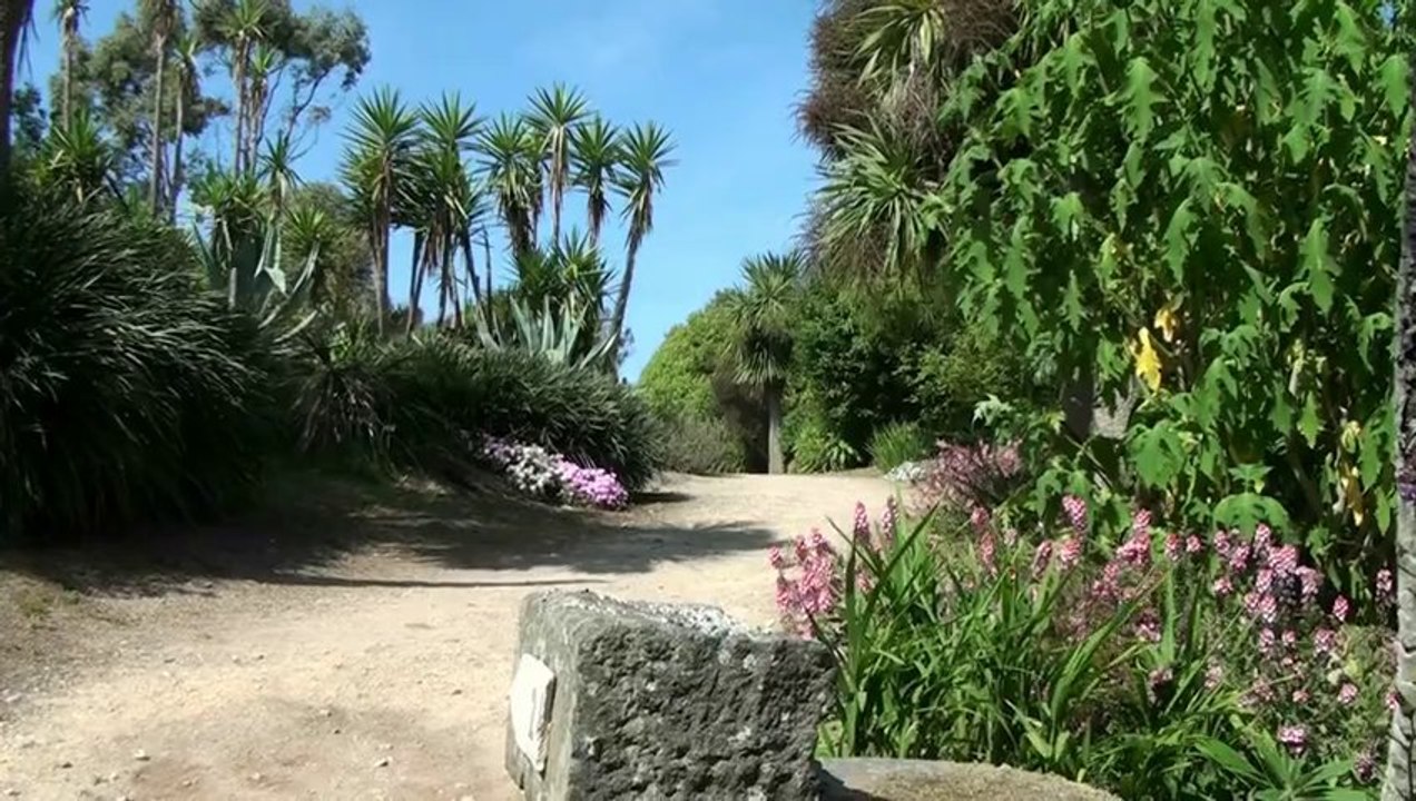 Finistère. Un p'tit coin de paradis « made in Roscoff »