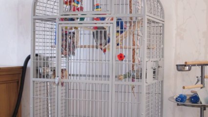 MVI_1426youri dit "je vais travailler"