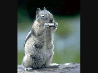 "Sur un sentier italien" by Patrick Cousin de Haes