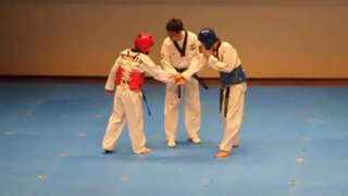 Un étrange combat de Taekwondo