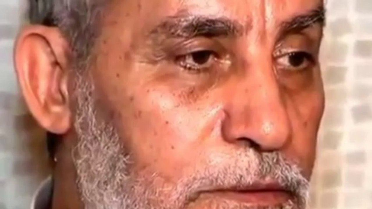 Egyptian forces arrest Muslim Brotherhood leader