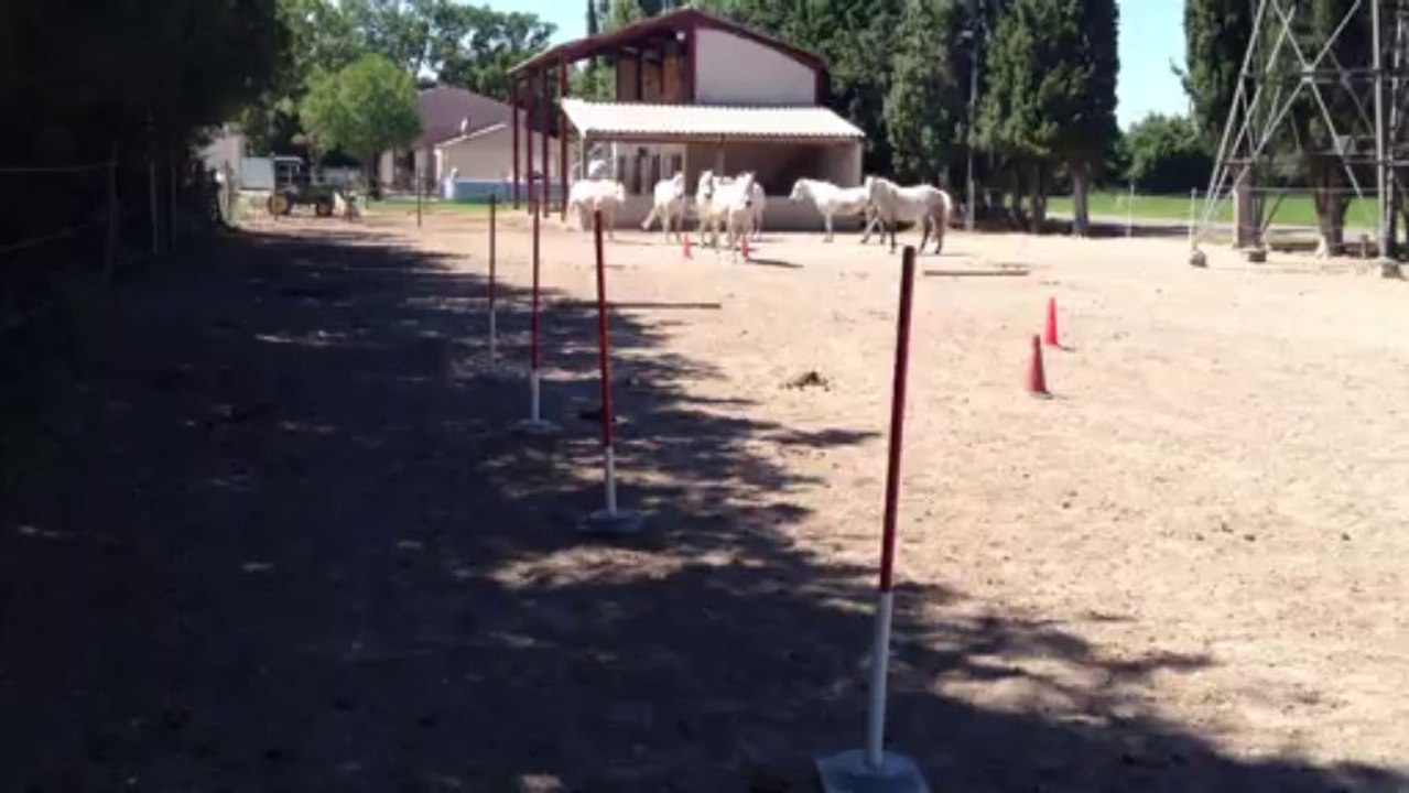 Video de remise en route Septembre  2013