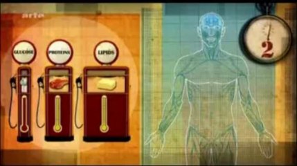 Les surprenantes vertus du jeûne (partie 3)