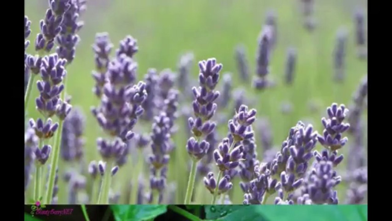 THIERRY MUGLER A*Men Flask Άρωμα EDT Σπρέυ