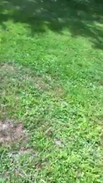Scare prank on dad