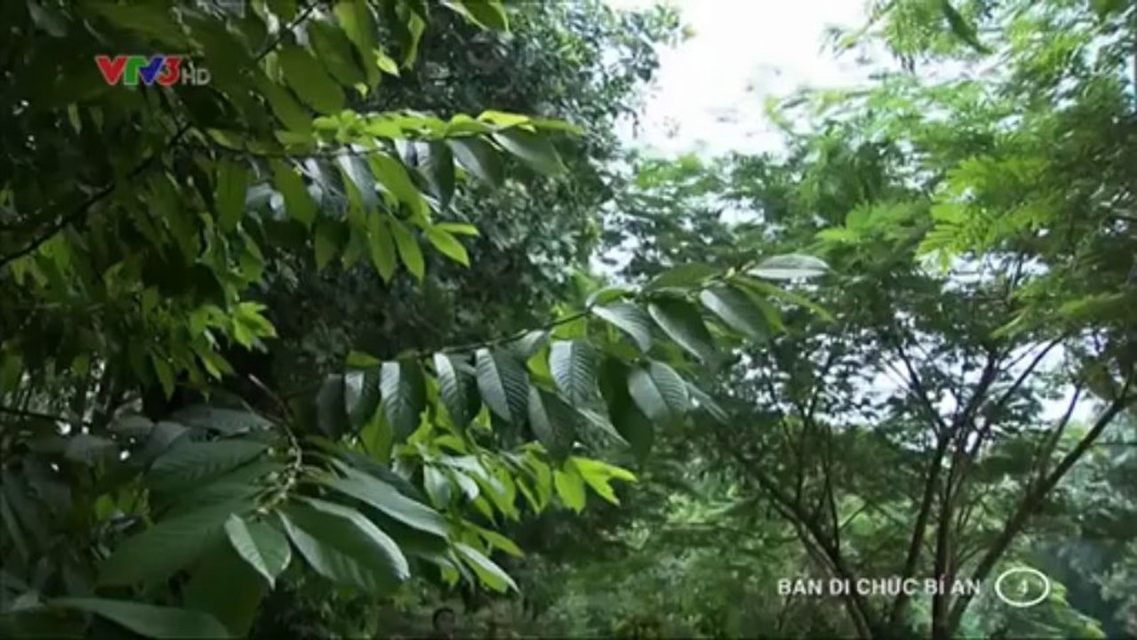 bandichucbian.2013.e04_002