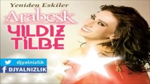 Yıldız Tilbe - Anlamı Olmaz    (2013)