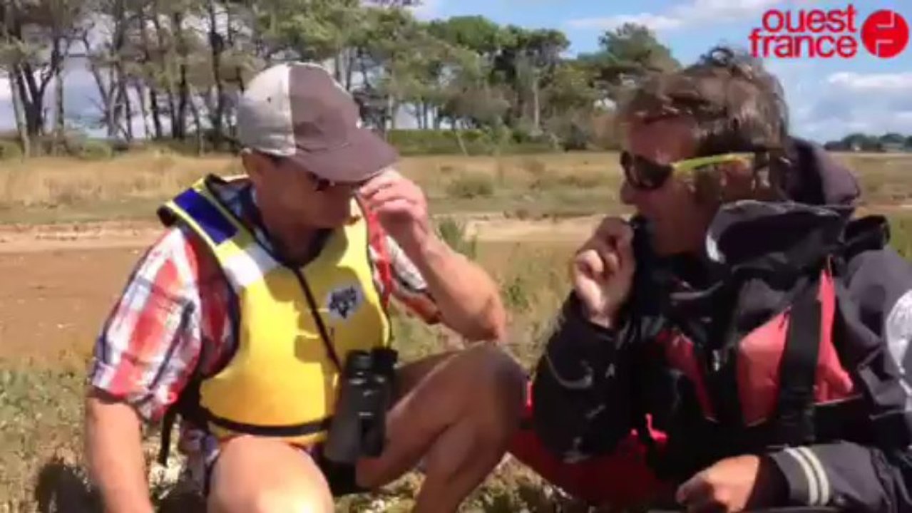 Sortie kayak - Sortie kayak en petite mer de Gâvres