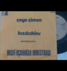 Vasfi Uçaroğlu Orkestrası Çayır Çimen 1972