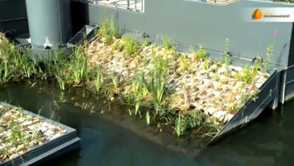 Ouverture des Berges de Seine: bilan positif malgré une circulation difficile